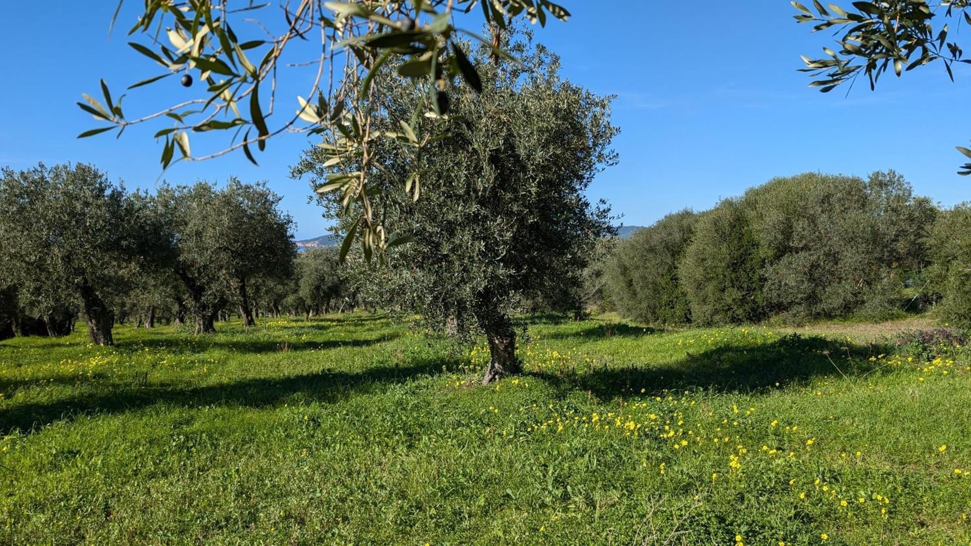 Casale Valverde Alghero Exterior foto